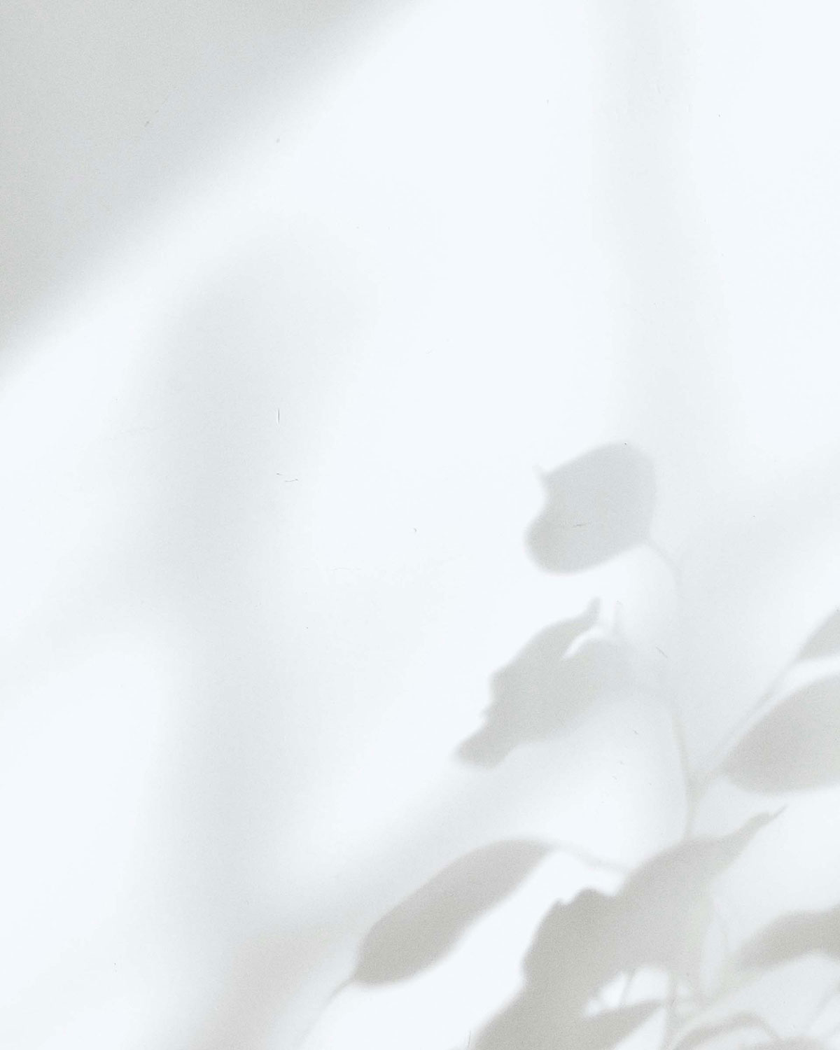 Gereinigtes Wohnzimmer nach Umzug